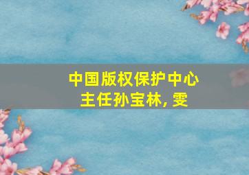 中国版权保护中心主任孙宝林, 雯